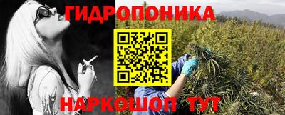 стафф Партизанск